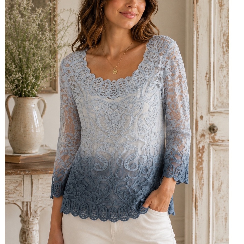 Anthropologie Meadow Rue‎ Mesh Top Blue Ombre Embroidered Mesh Blouse XS